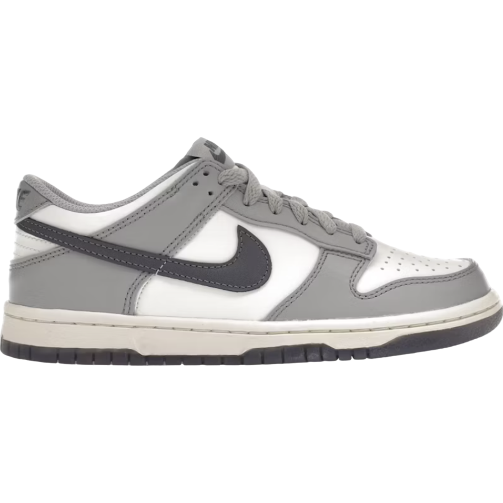 Nike Dunk Low Platinum Tint Light Carbon (GS)