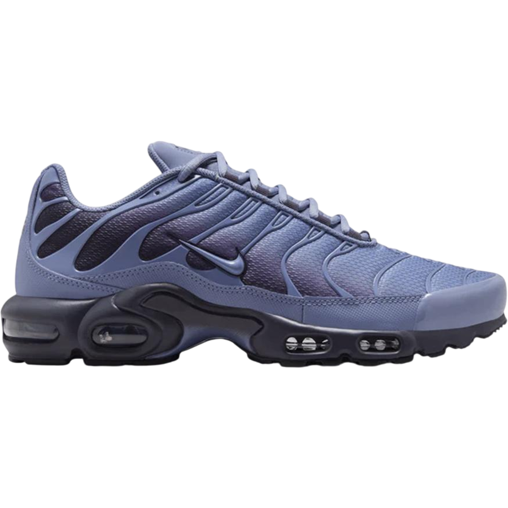 Nike Air Max Plus World Indigo