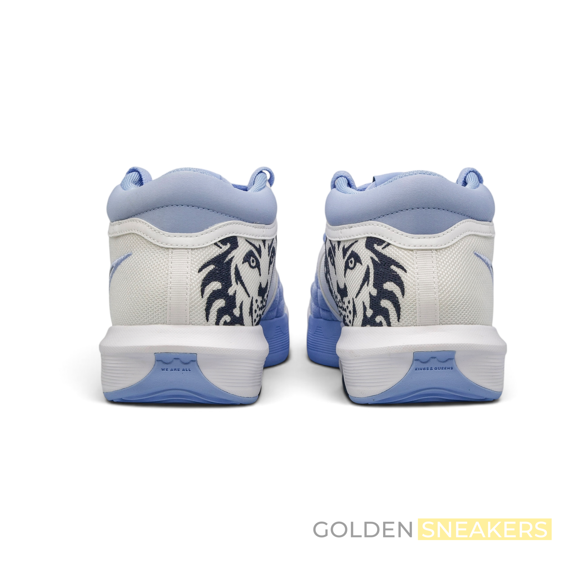 Nike LeBron Witness 8 UNC