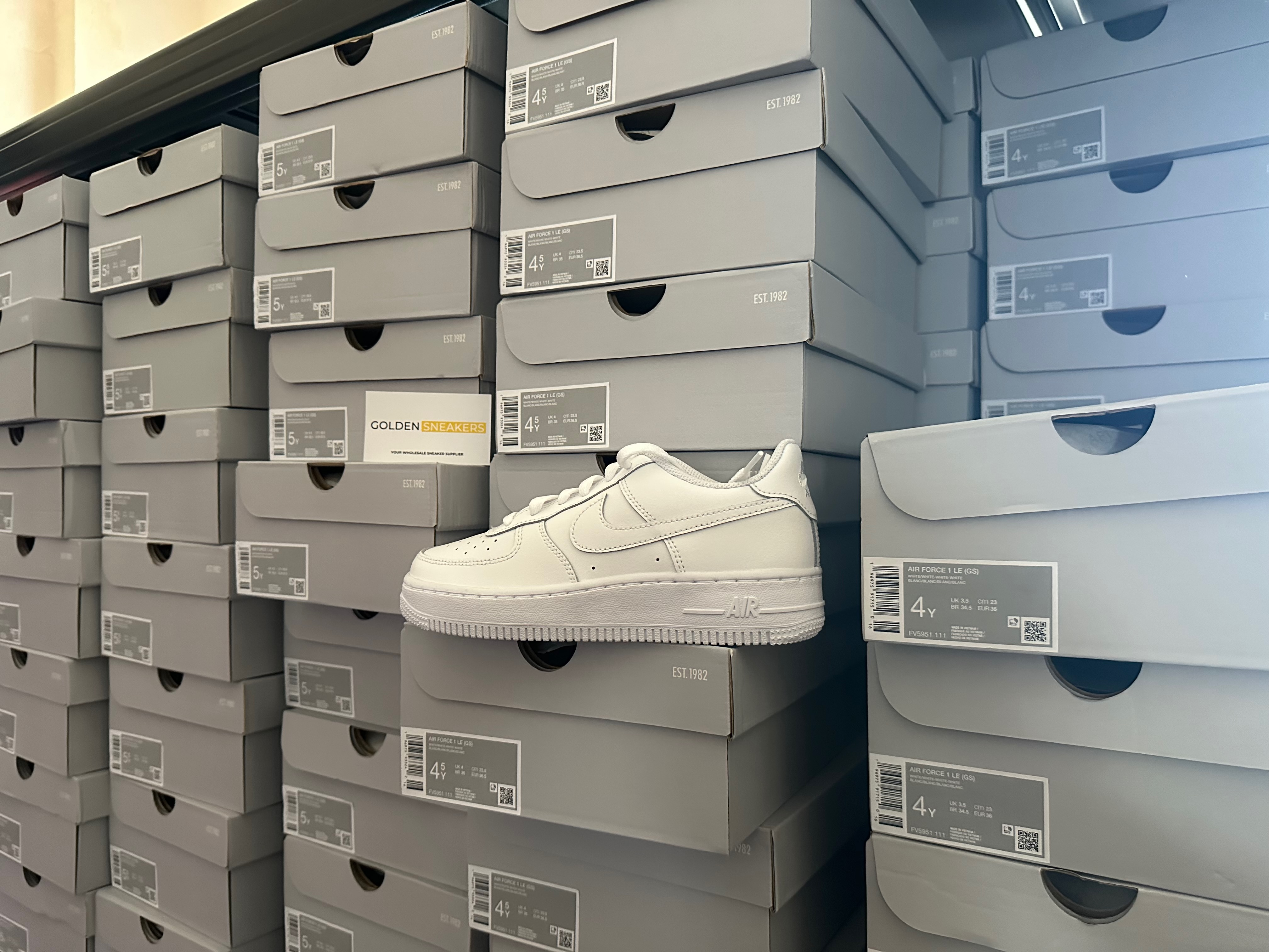 Nike Air Force 1 Triple White (GS) (DH2920-111)